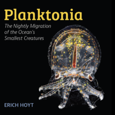 Planktonia by Erich Hoyt