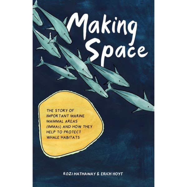 Making Space - eBook