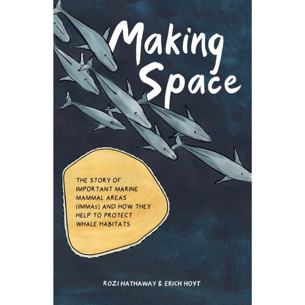 Making Space - eBook